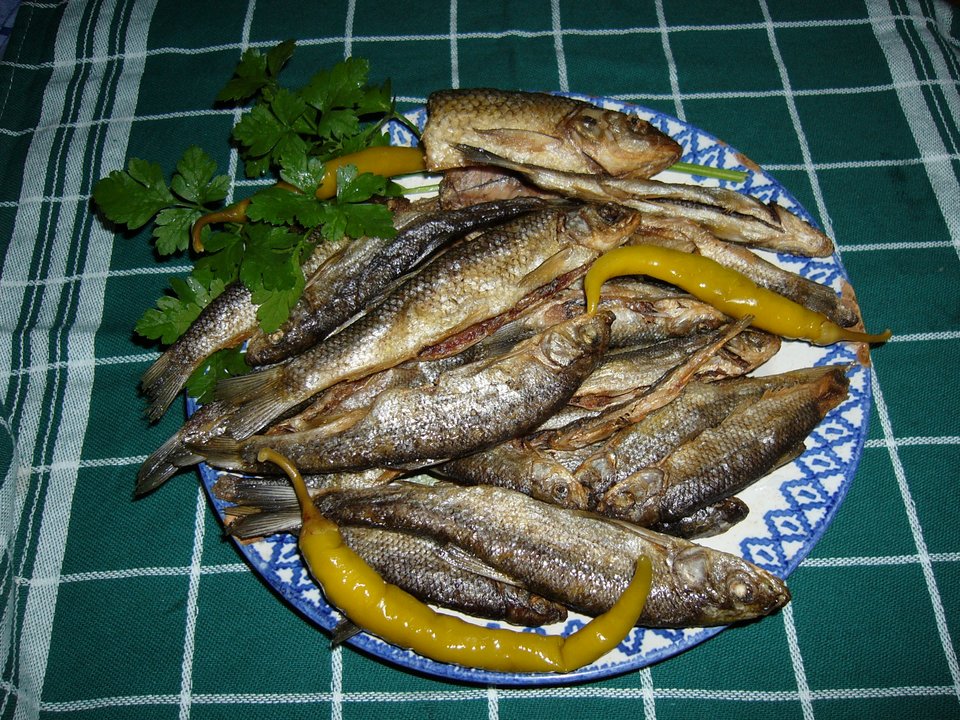 Peixinhos Do Rio